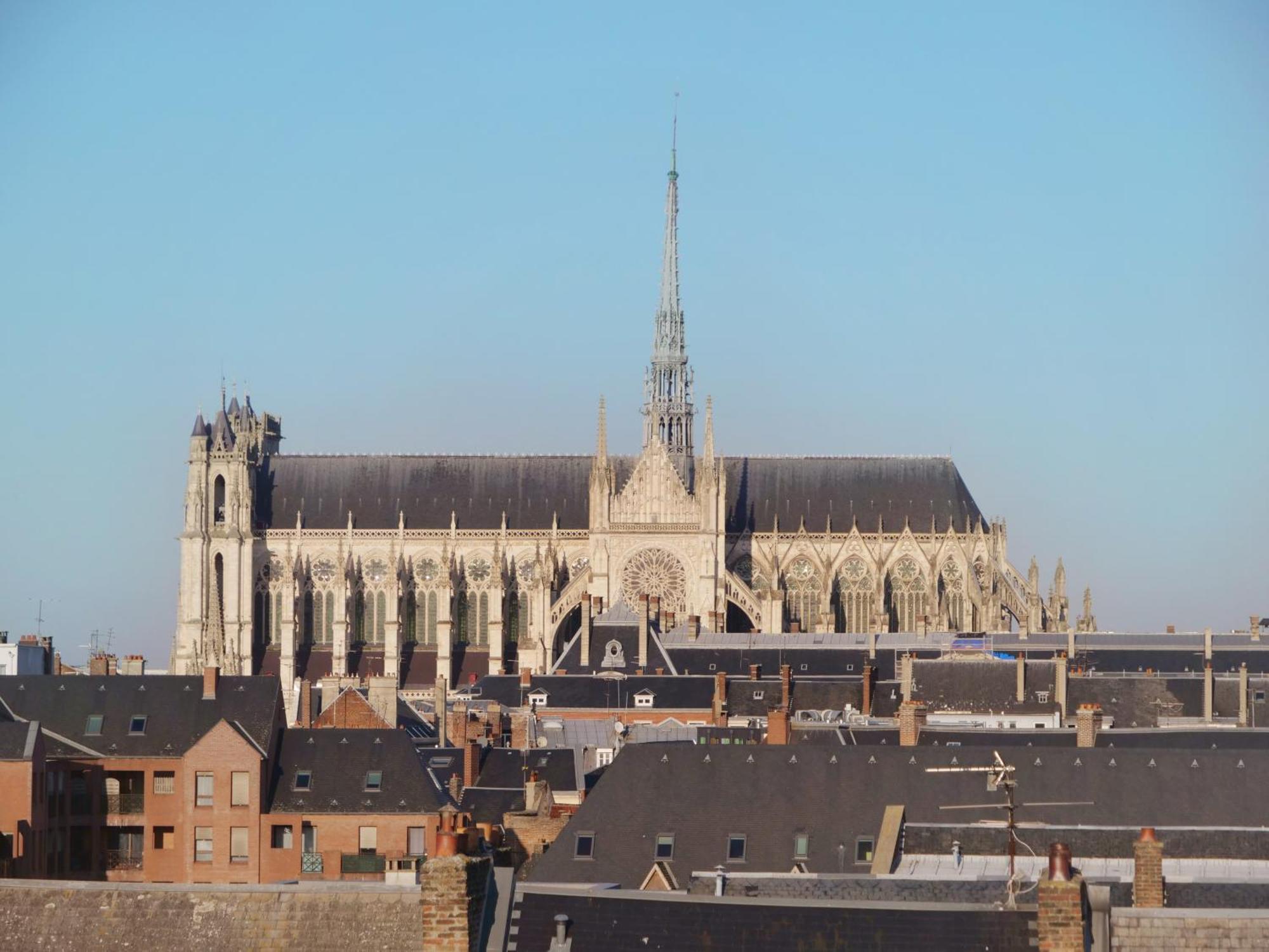 Appartement Magnifique Cocon *
